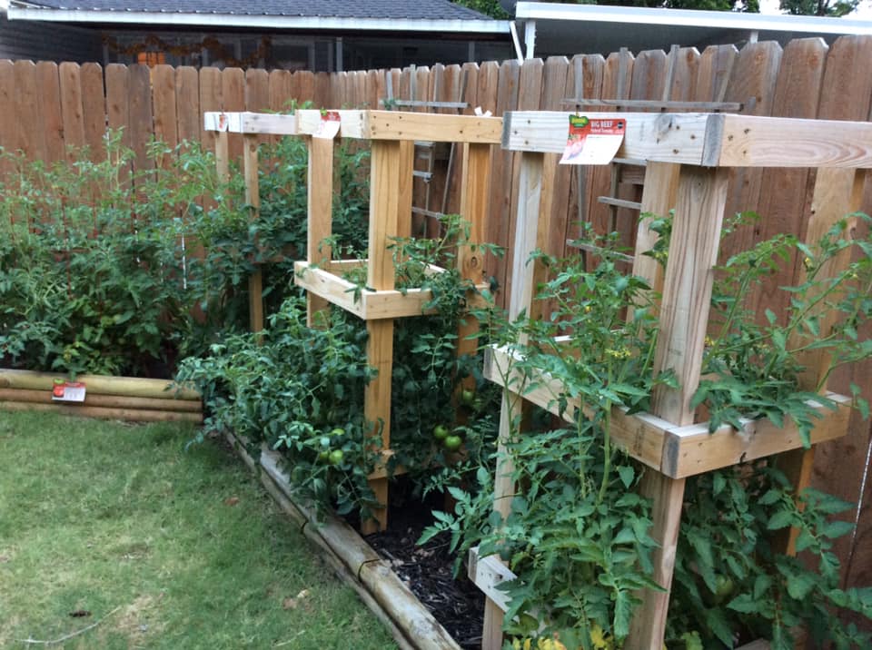 6 Pack Tomato Cages For Garden, 51 Inches Adjustable Lithuania