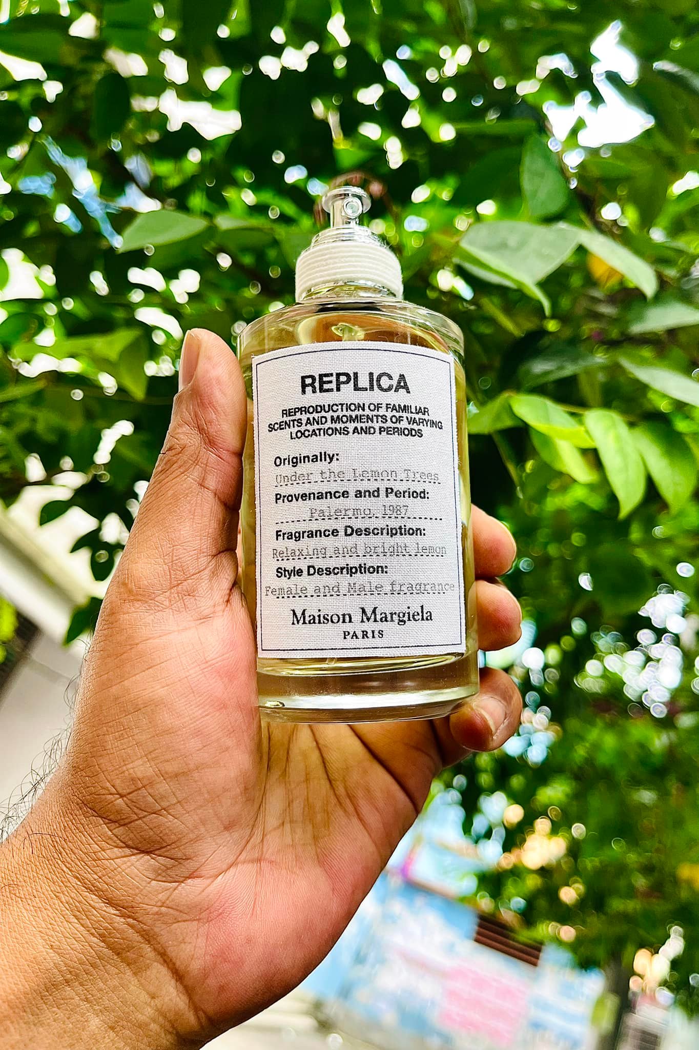 Maison Martin Margiela fragrance notes