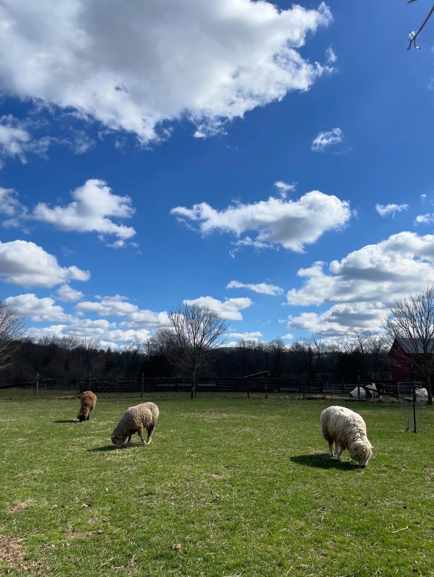 Howell Living History Farm | Lambertville NJ