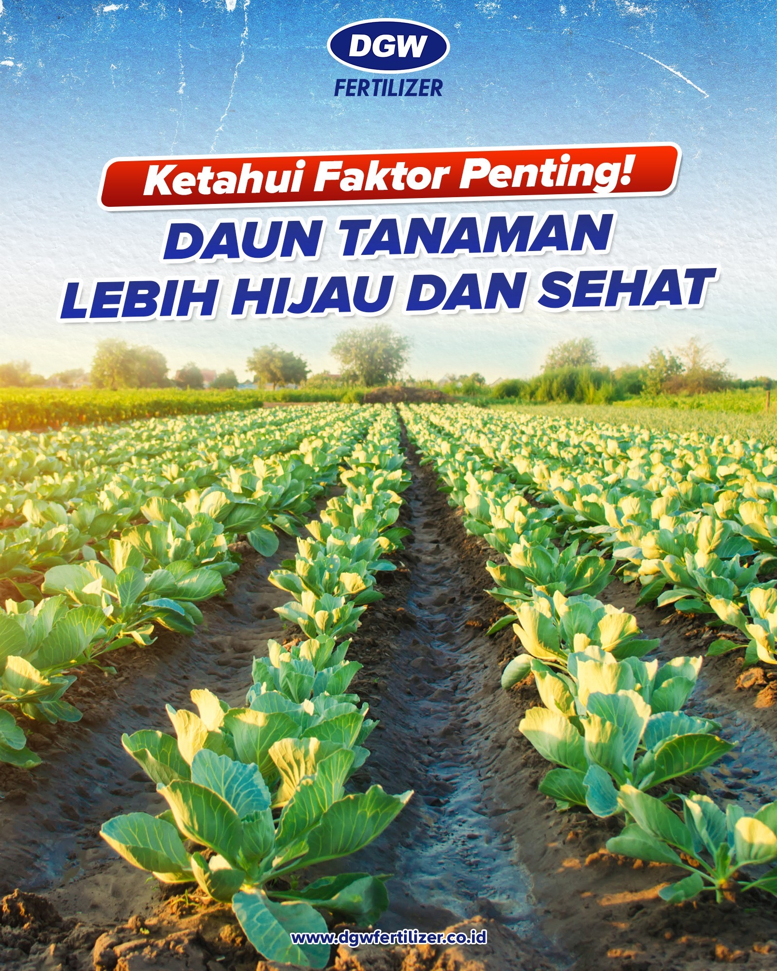 FanPage DGW Fertilizer | Jakarta