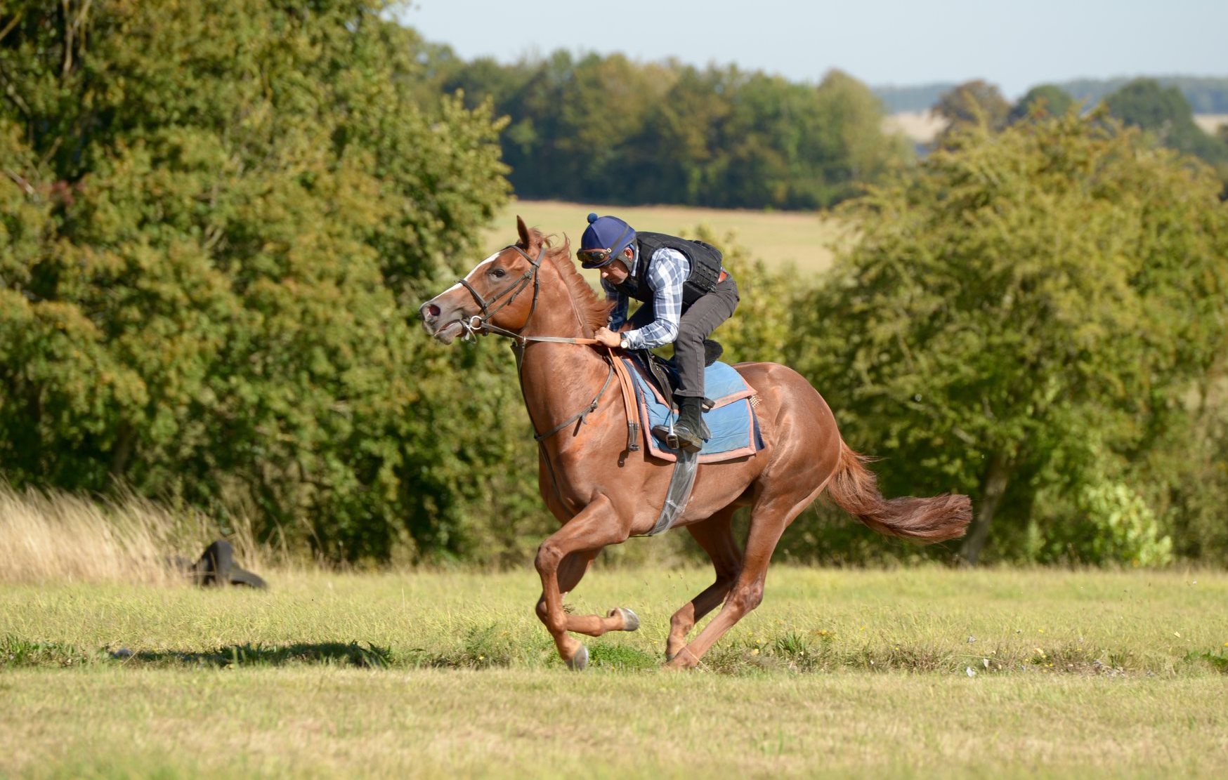 Whatcombe Racing... - Whatcombe Racing - Paul and Oliver Cole