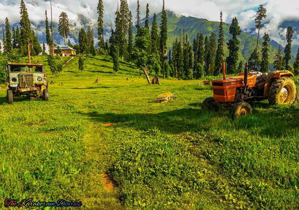 Young Guns Of Pakistan - انڈین ظالموں نے آگ لگا دی وادی نیلم گریس تاؤبٹ ...