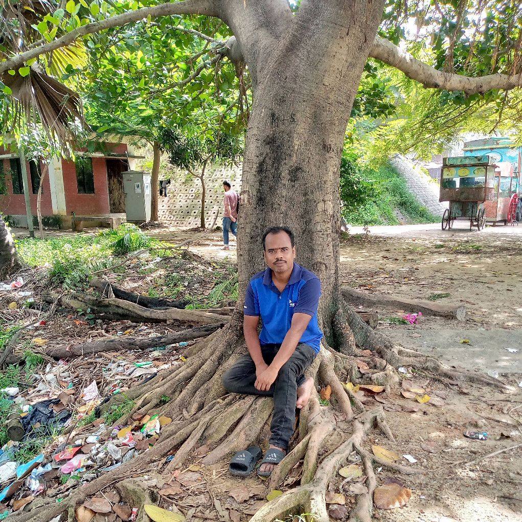 ইউ এস বাংলা এয়ারলাইন্সের বিমানের নাটকীয় অবতরণ মডেল- Airbus A-330 # ...