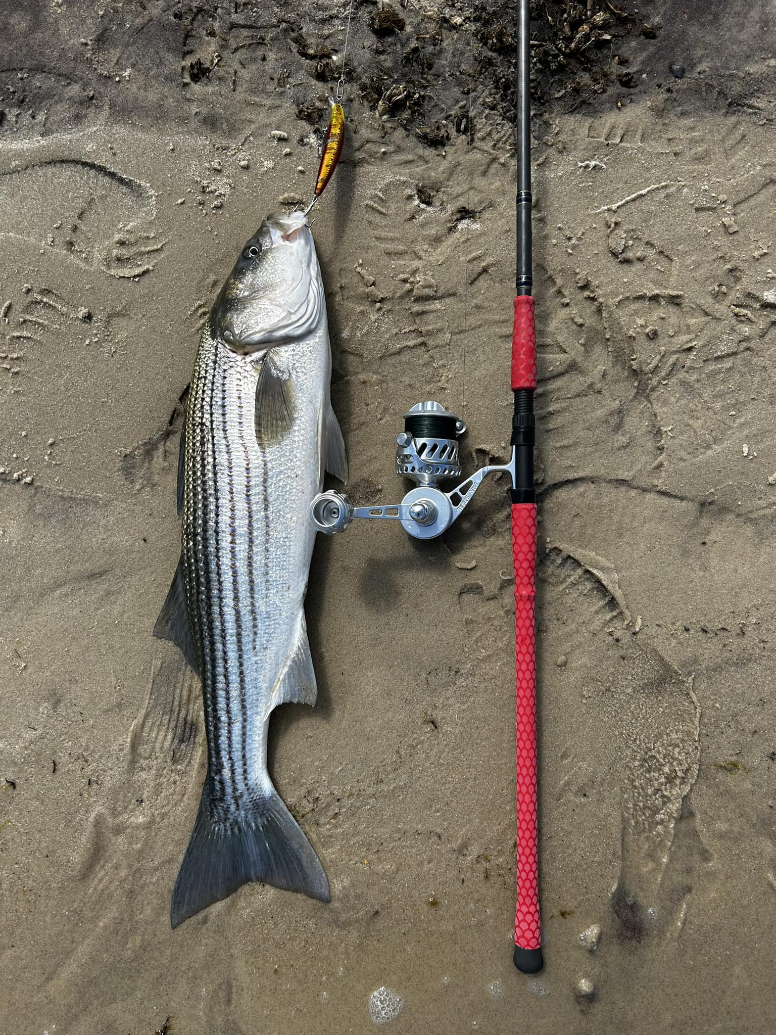 black plastic fishing reel that says reel in and release Hand-line COMBO multipack Color:Polished Aluminum SLT 11/12+ Fishing Reel Art Lithium Efficiency