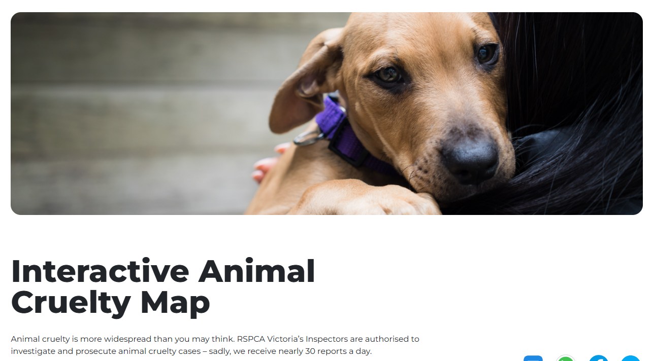 The RSPCA has released its... - Council Watch Victoria Inc | Facebook