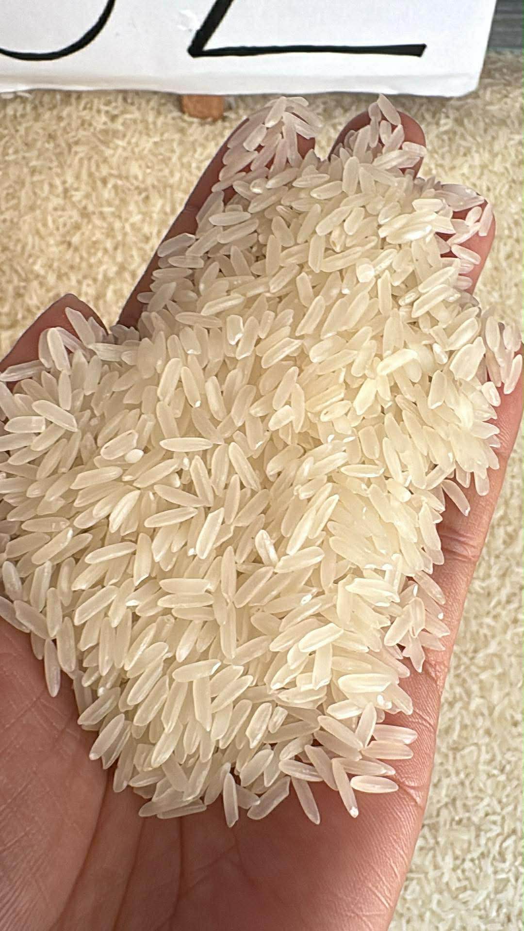 Binhi rice - Christmas Lights - Taguig | Facebook Marketplace | Facebook