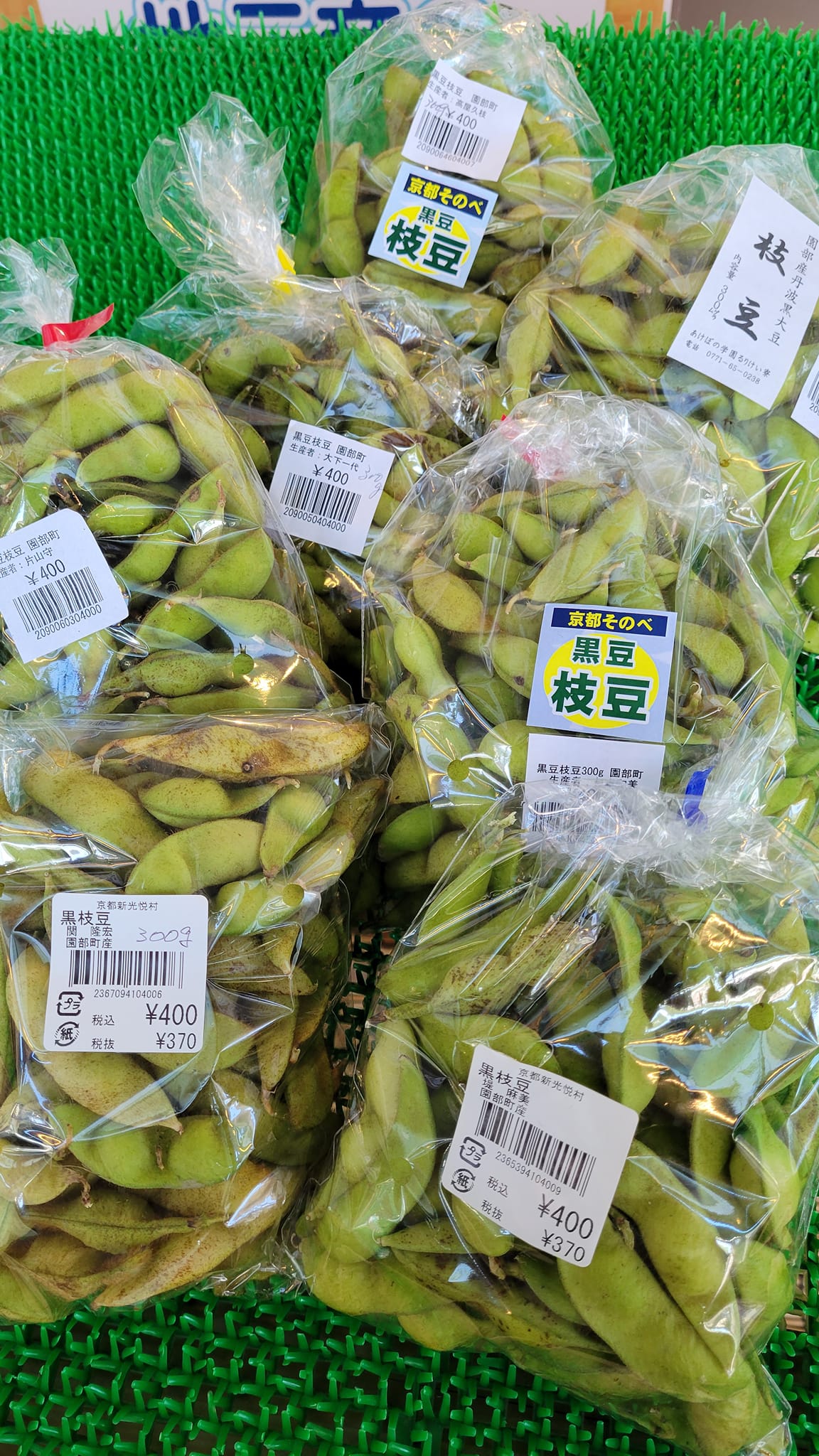 黒豆枝豆販売中！ 旬の時期は短いです