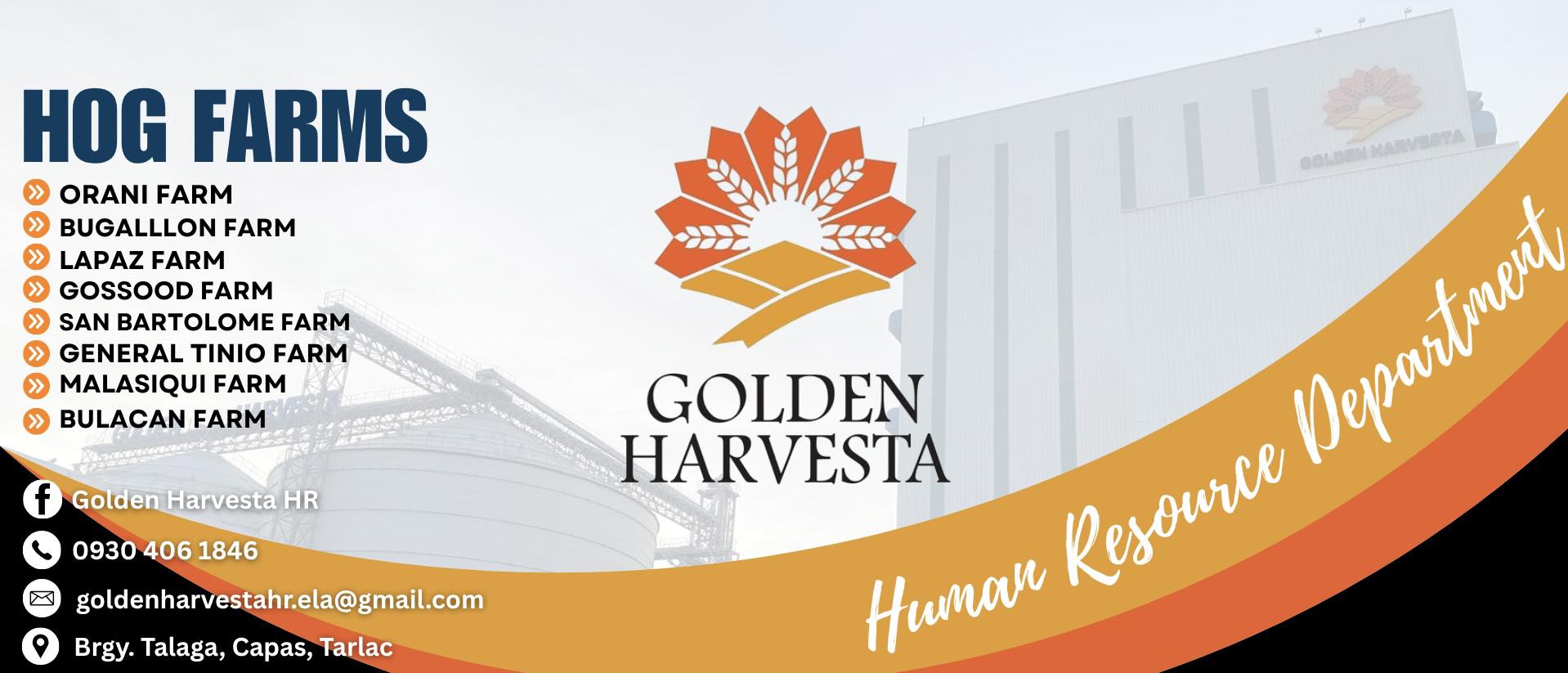 Golden Harvesta Inc | Capas