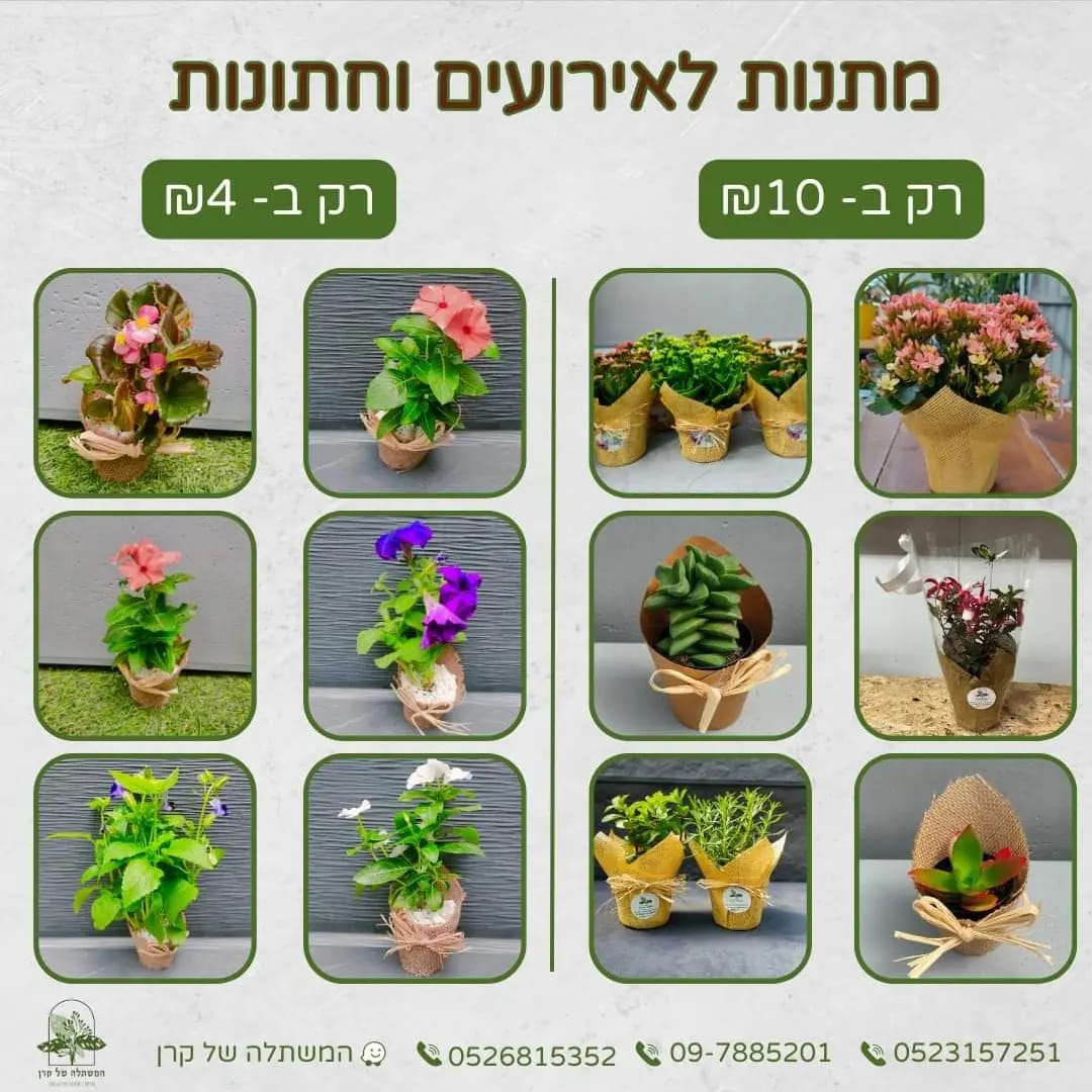 המשתלה של קרן - משתלה בהוד השרון כפר סבא - אתם שואלים אותנו מתי אנחנו ...