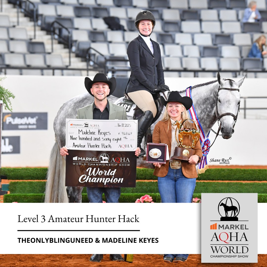 AQHA Showing - AQHA Showing added a new photo.