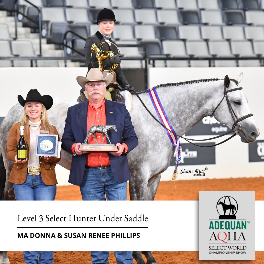 AQHA Showing - AQHA Showing added a new photo.