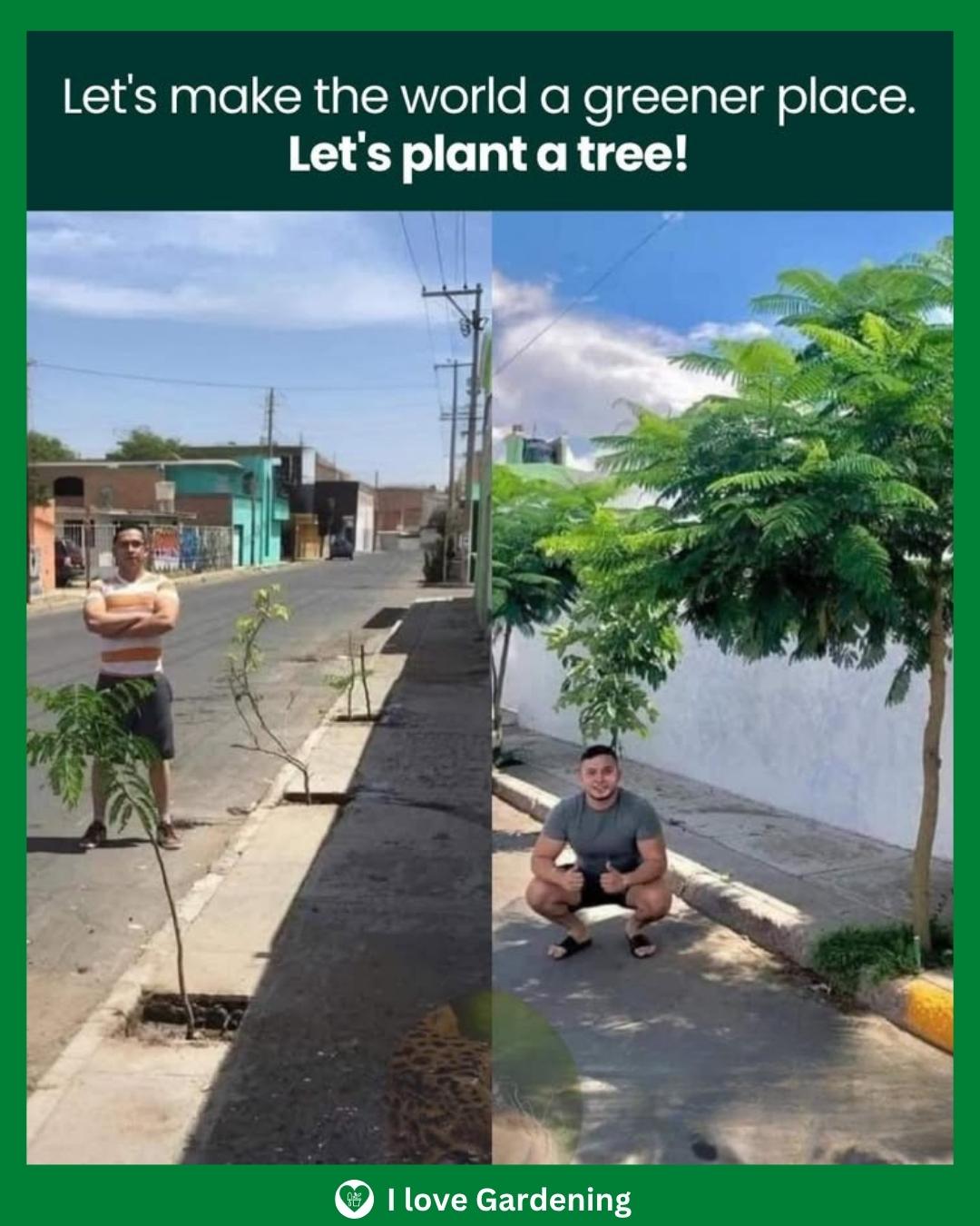 I love - It’s incredible how a single tree can transform a space. These ...