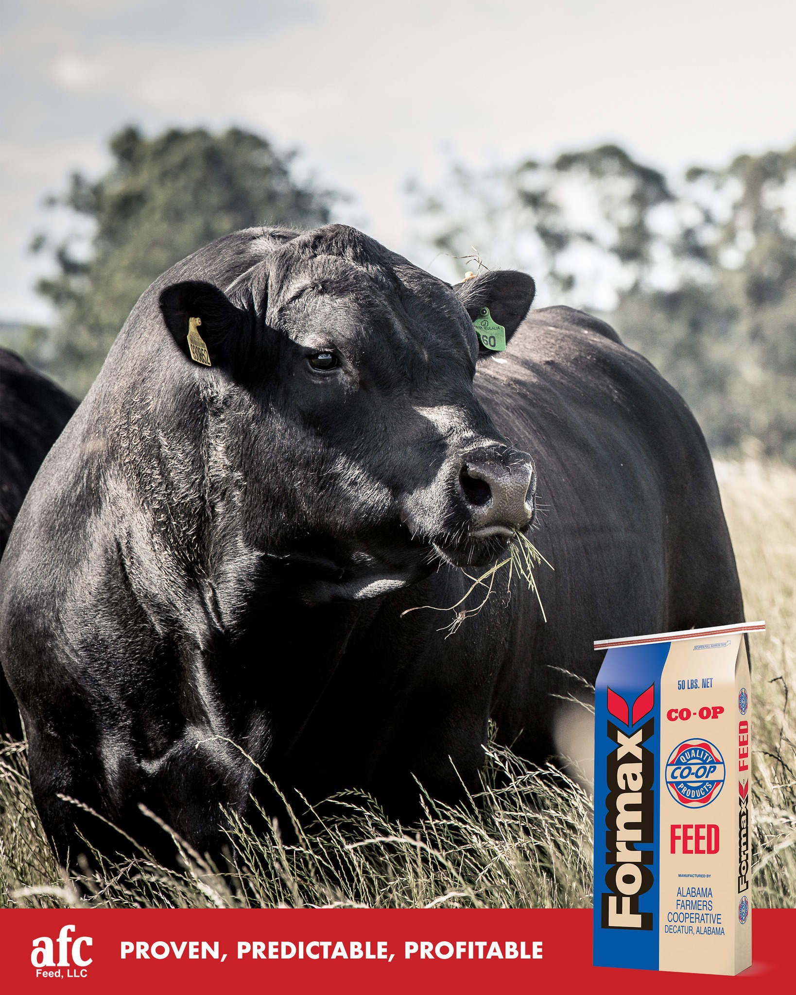 AFC - 🐄 Build weight the smart way with Formax Stocker 13% BOVATEC ...