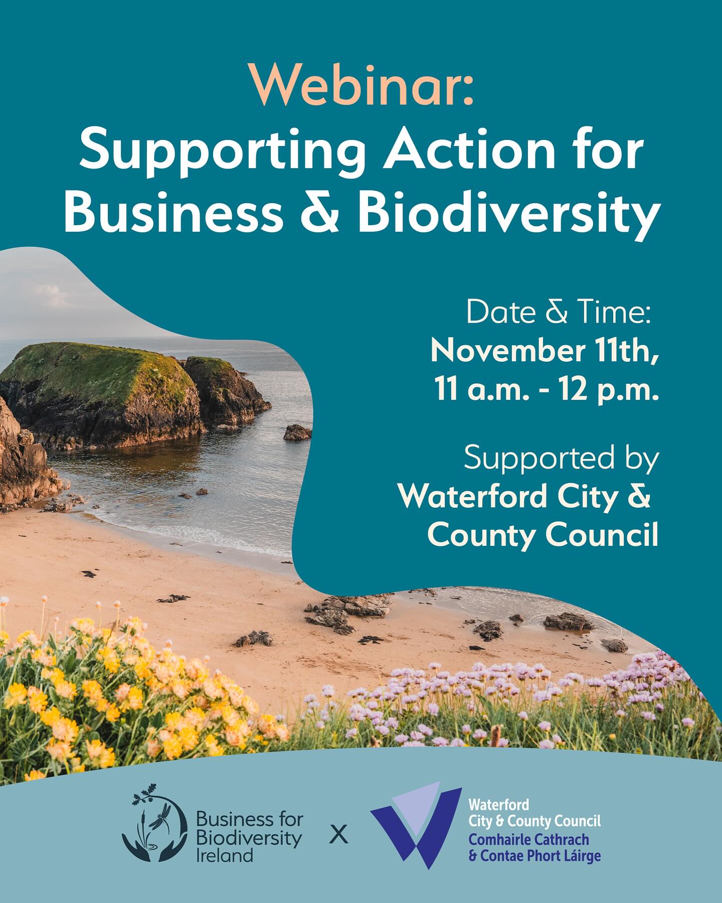 Free webinar for local... - Waterford City and County Council | Facebook