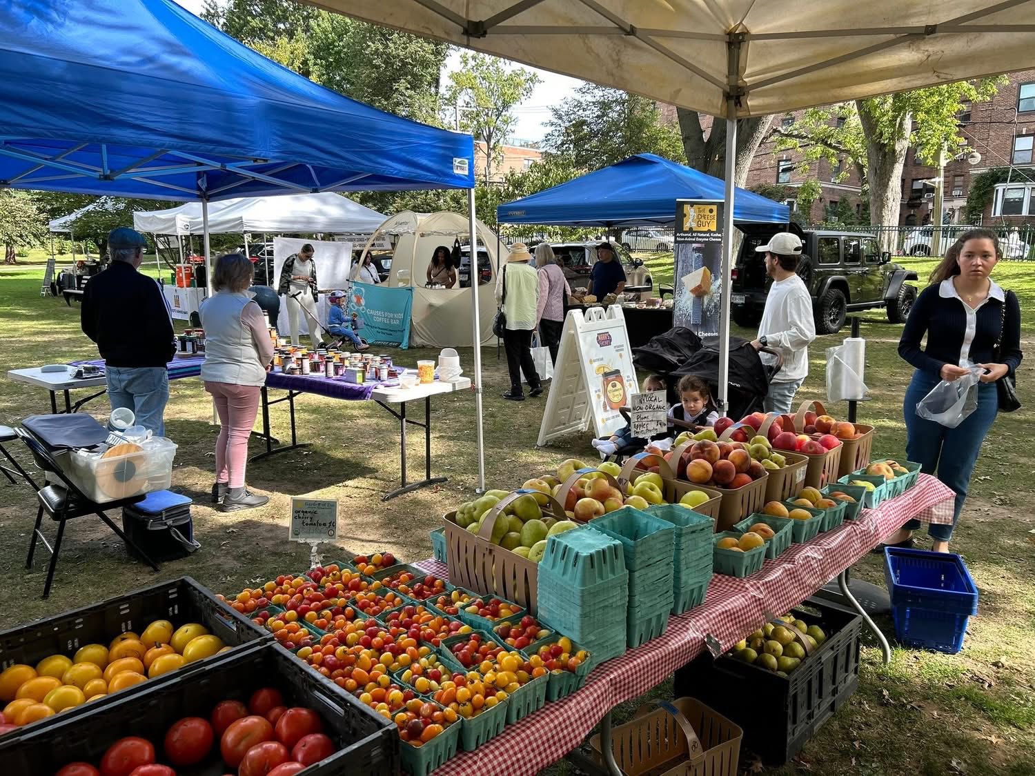 Deep Roots Farmers Market at Great Neck | Great Neck NY