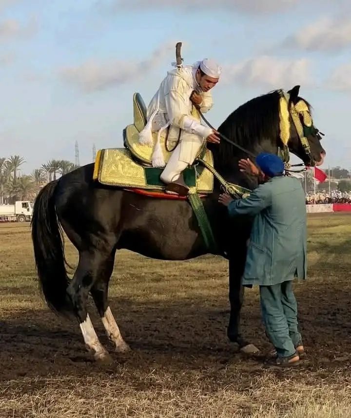 مهرجان التفاح بميدلت: ايام... - festival maroc موسم التبوريدة | Facebook