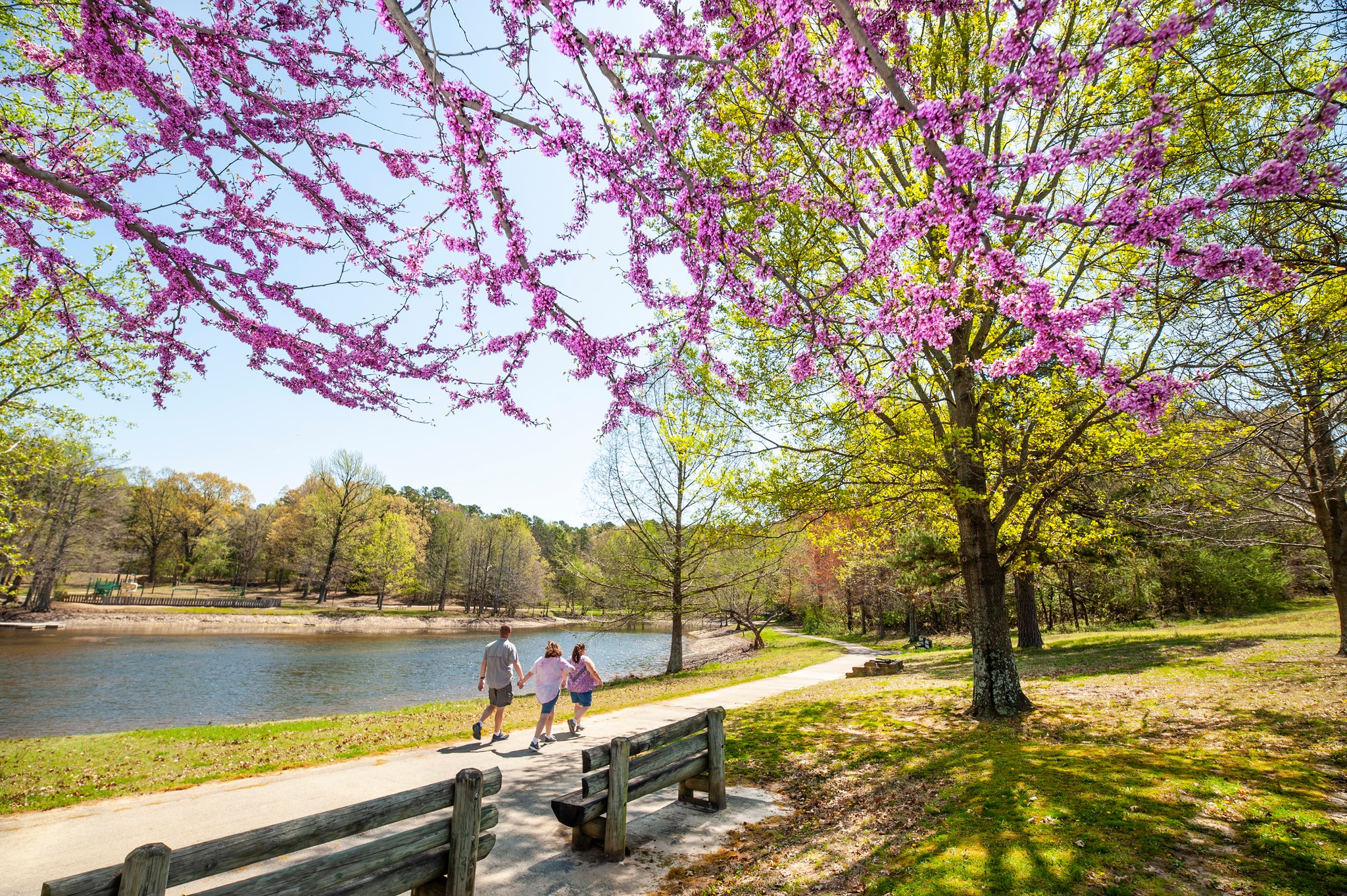 Happy first day of spring from... - Arkansas State Parks