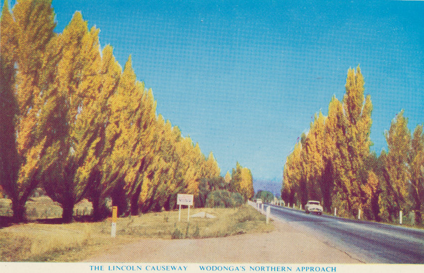 Wodonga - In 1965 from the Wodonga and District Express The removal of ...