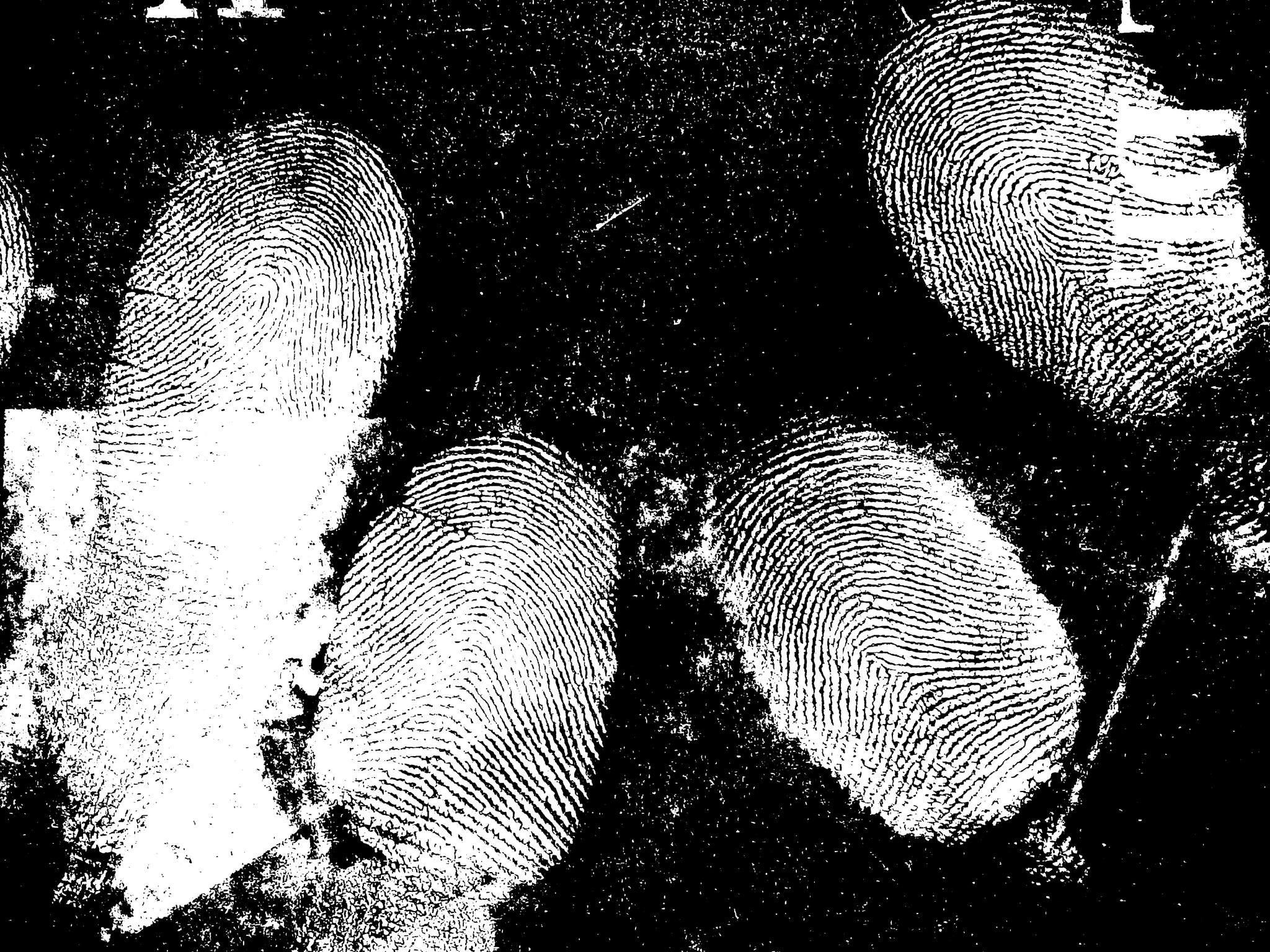 Lofoscopia Forense | Pereira
