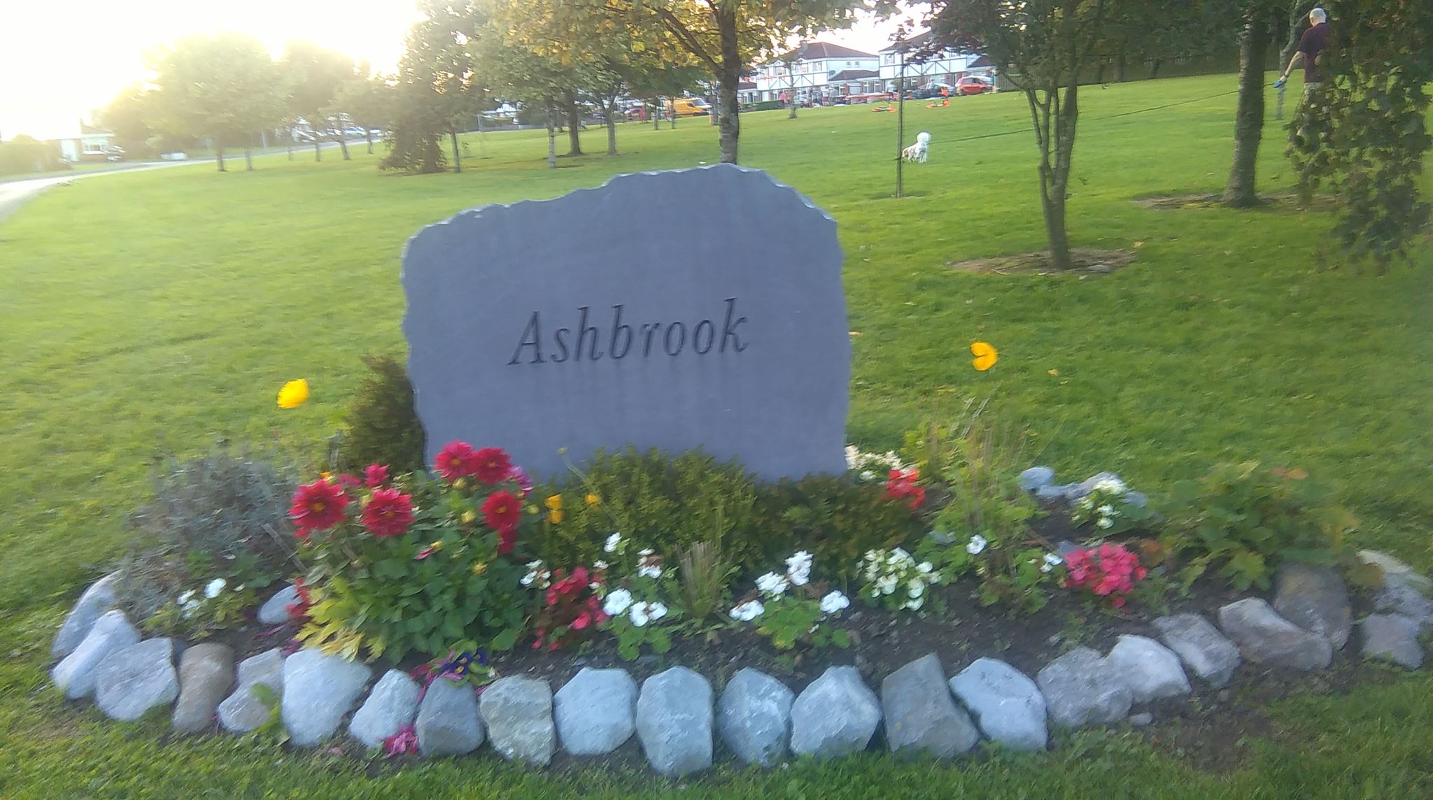 Ashbrook Residents