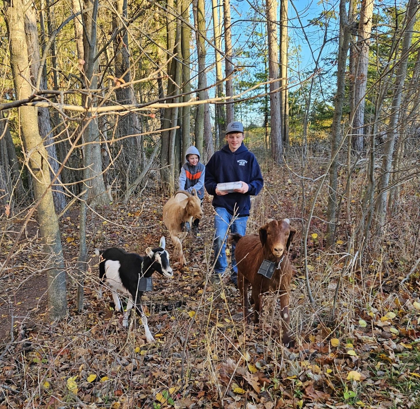 Glorious Goat Ranch & Goats On The Go - Green Bay