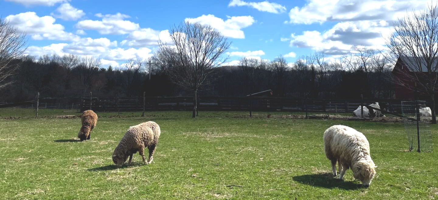Howell Living History Farm | Lambertville NJ
