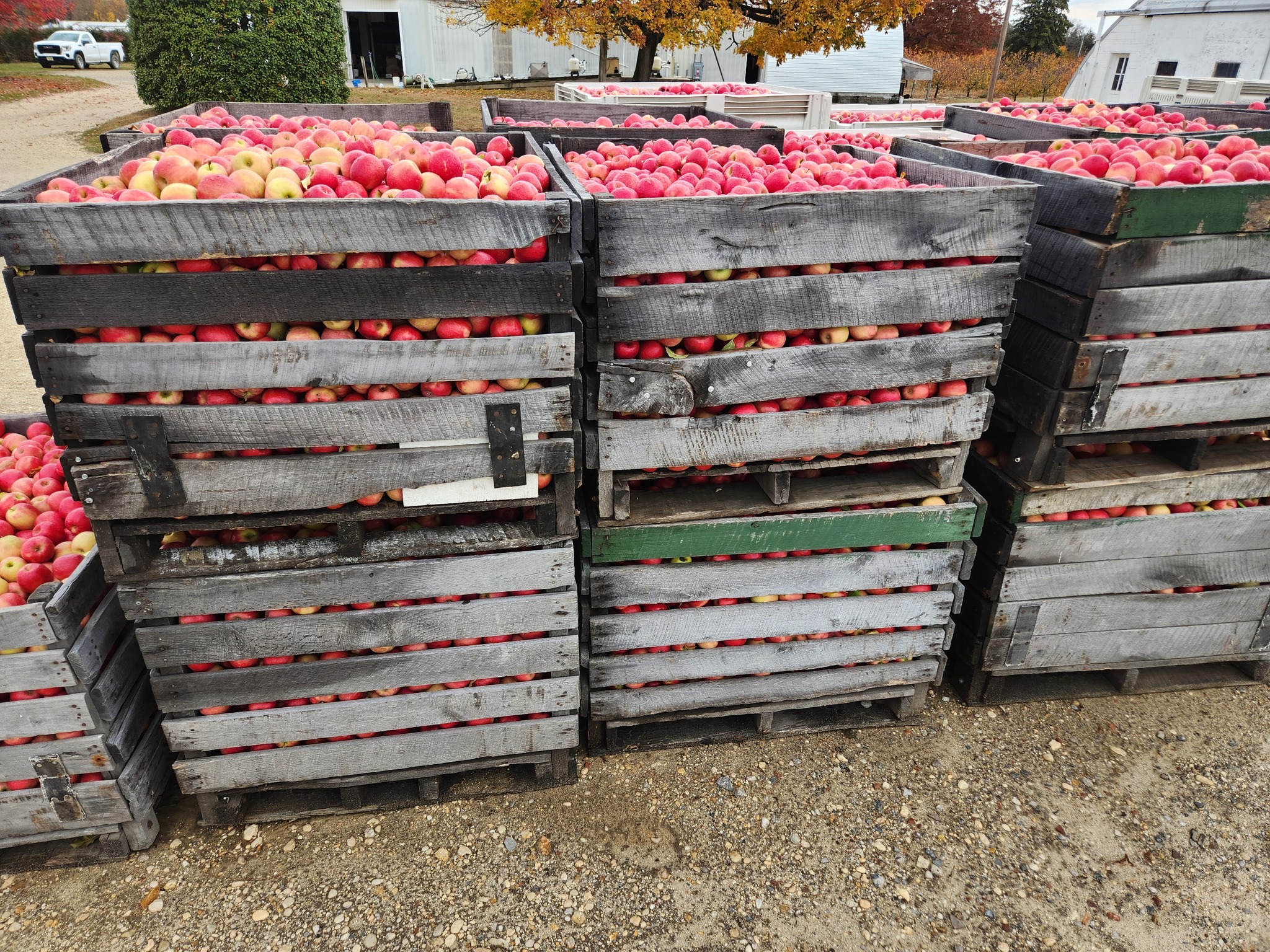 Attention Food Pantries We have... Mood's Farm Market Facebook