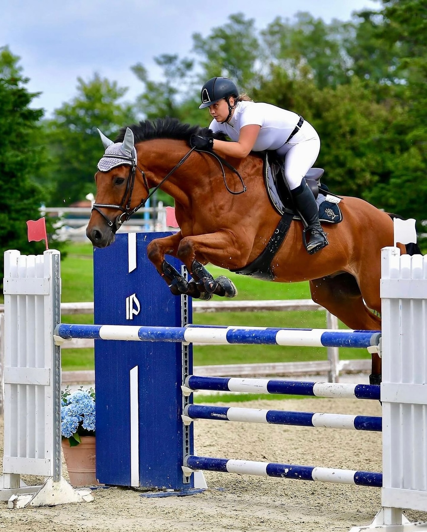 Equus Academy