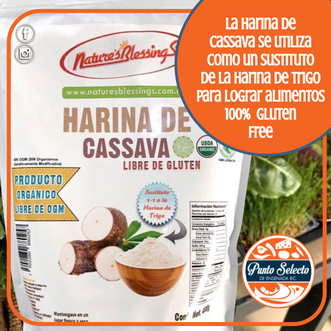 Comprar harina cassava harina que es Harina de yuca - Tapioca harina de mogo - 3 53 oz Comida Gourmet y Alimentos