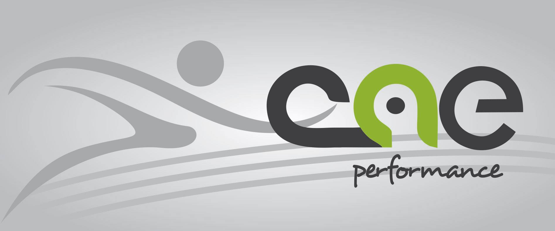 Cae Performance