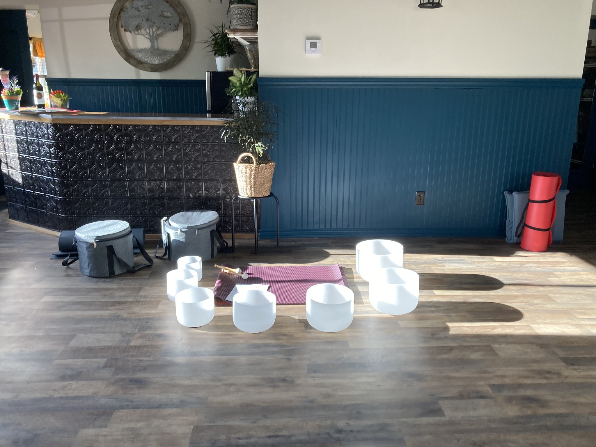 Reiki Sound Bath with Crystal Singing Bowls
