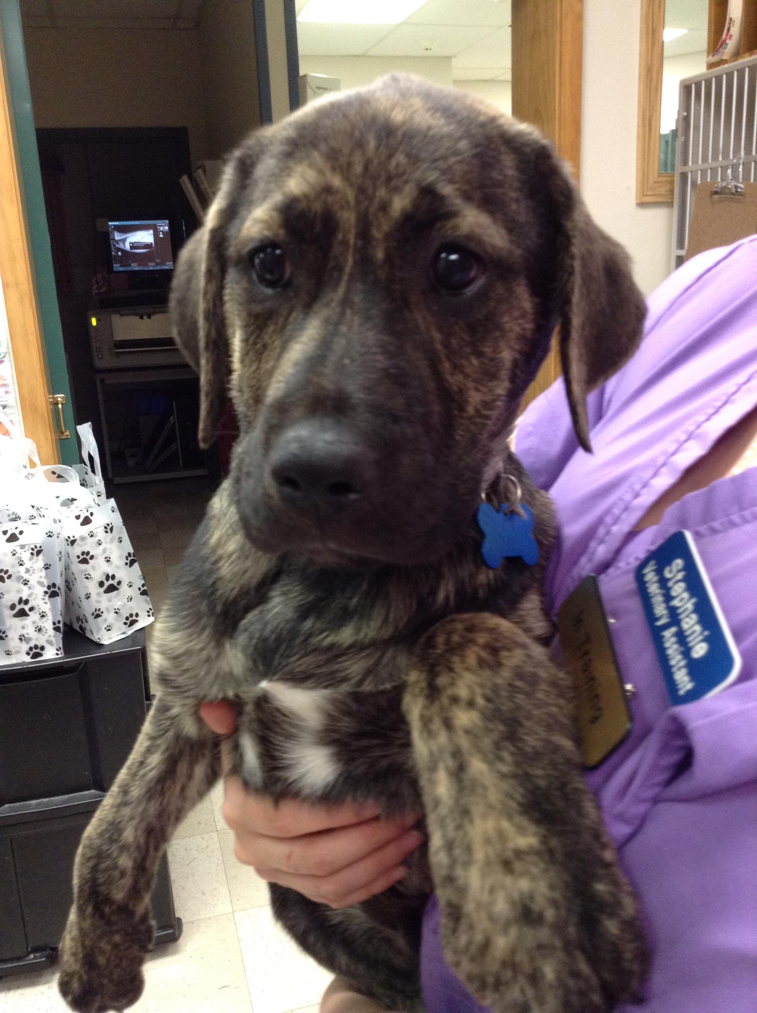 Douds Veterinary Hospital - New friend Nash! | Facebook