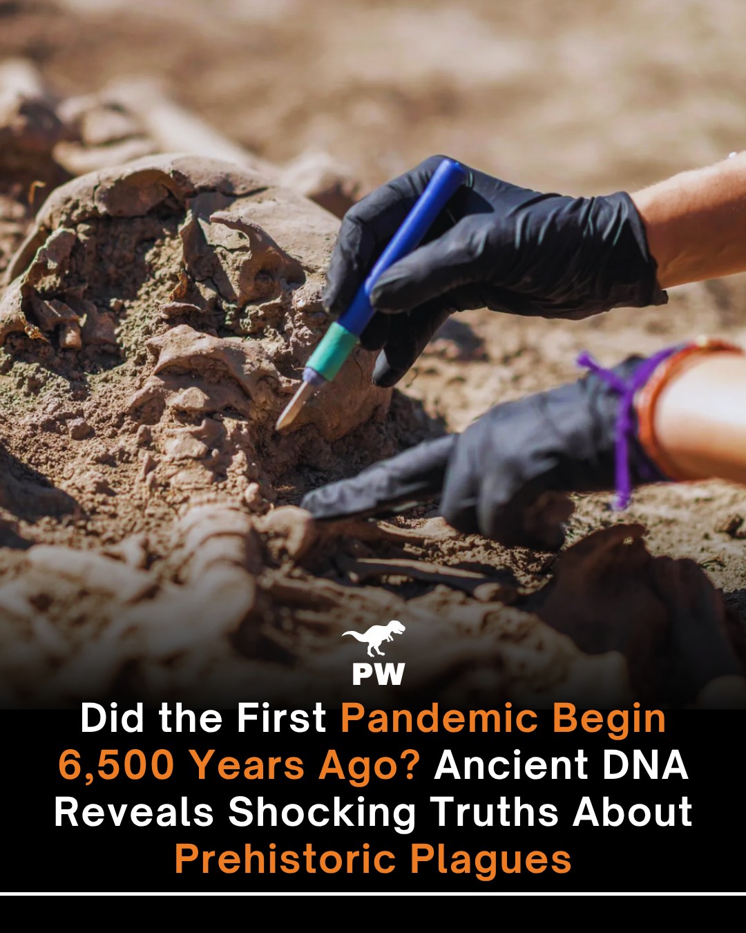 The Prehistoric - A groundbreaking new study has uncovered traces of ...