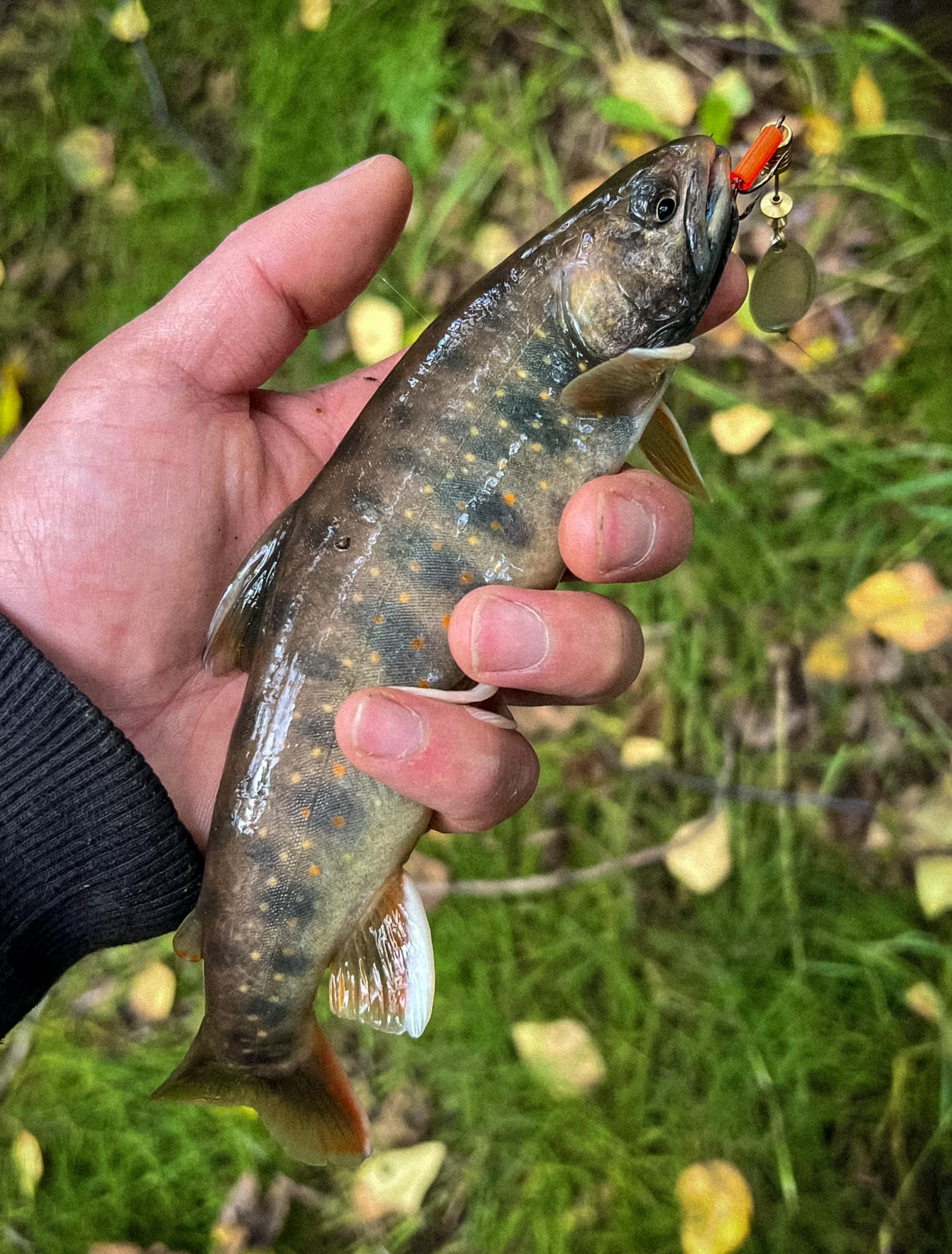 down under fishing lures 