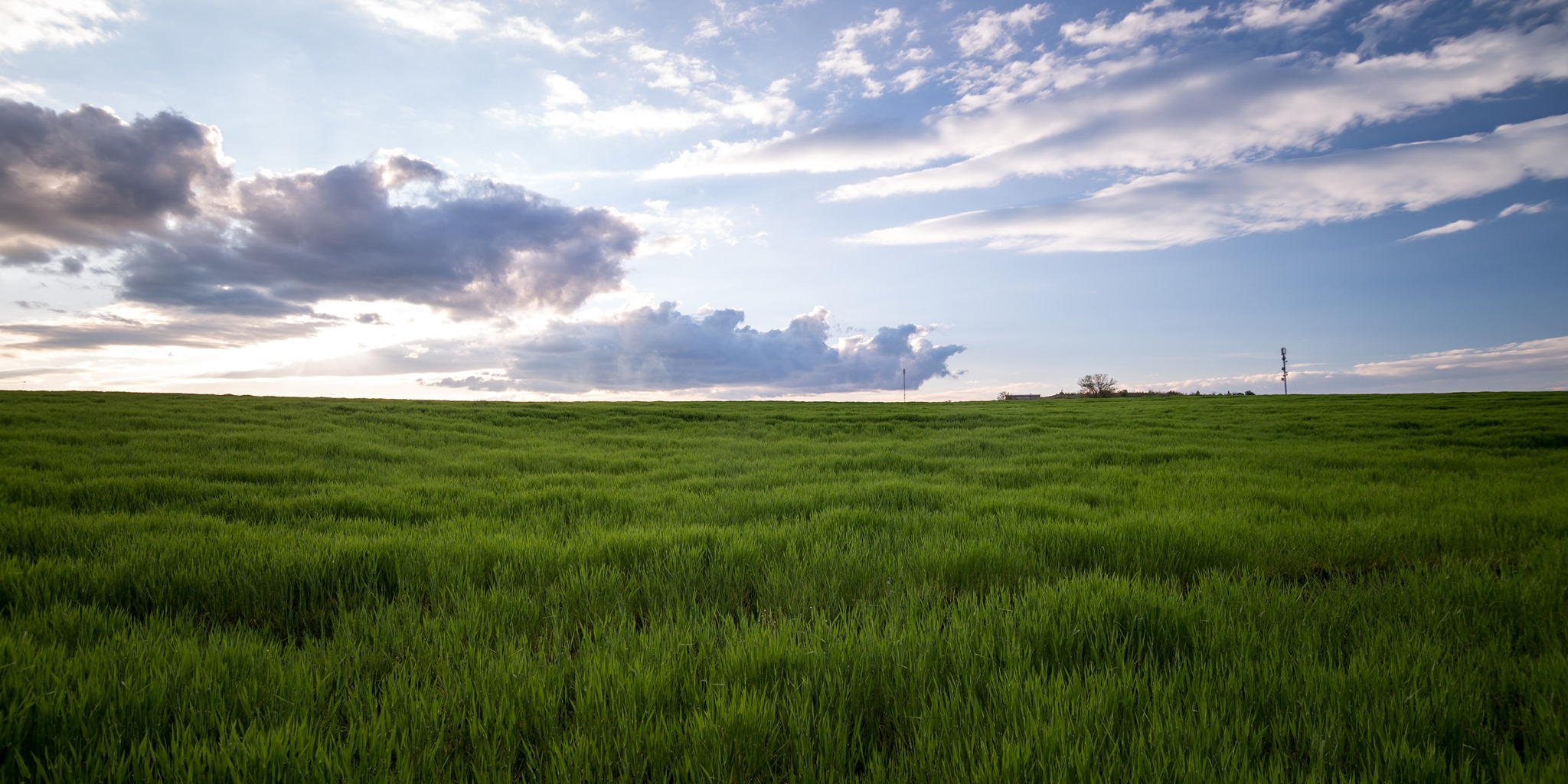 Progress Land Ltd | Truro