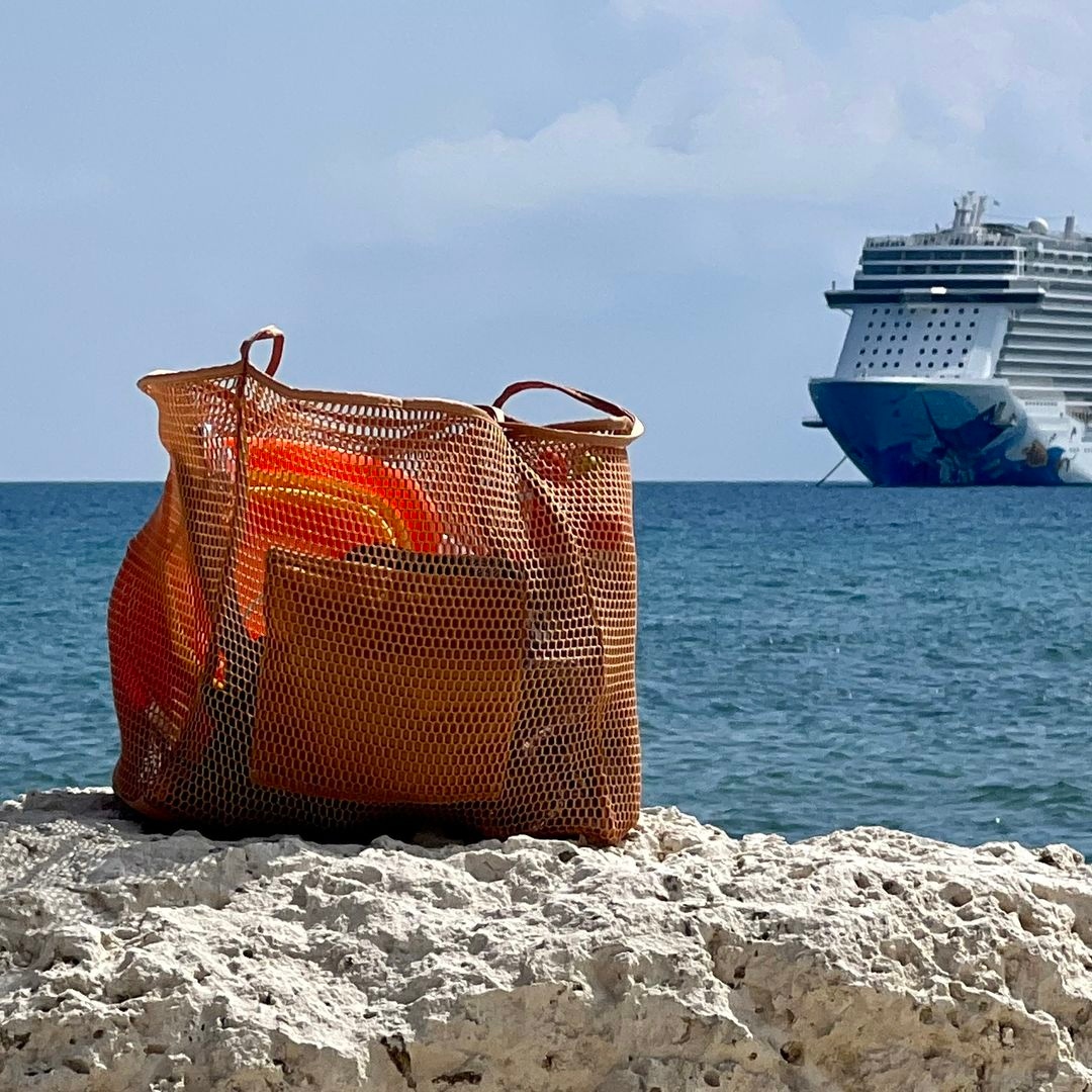 best collapsible port tote bag travel cruise Princess saves tons of space vs standard totes for easy storage Stylish Travel Tote Bags |