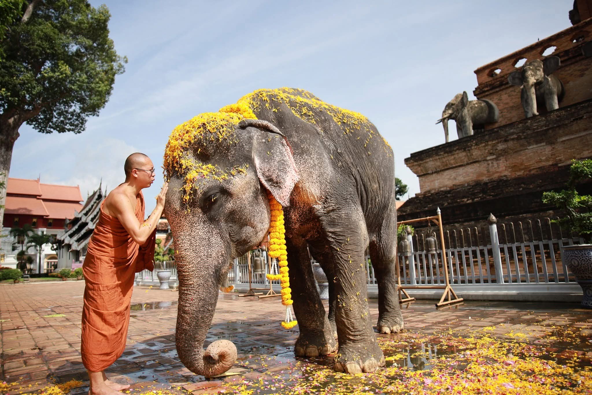 Ven Dhamma Bangsha added a new photo. - Ven Dhamma Bangsha