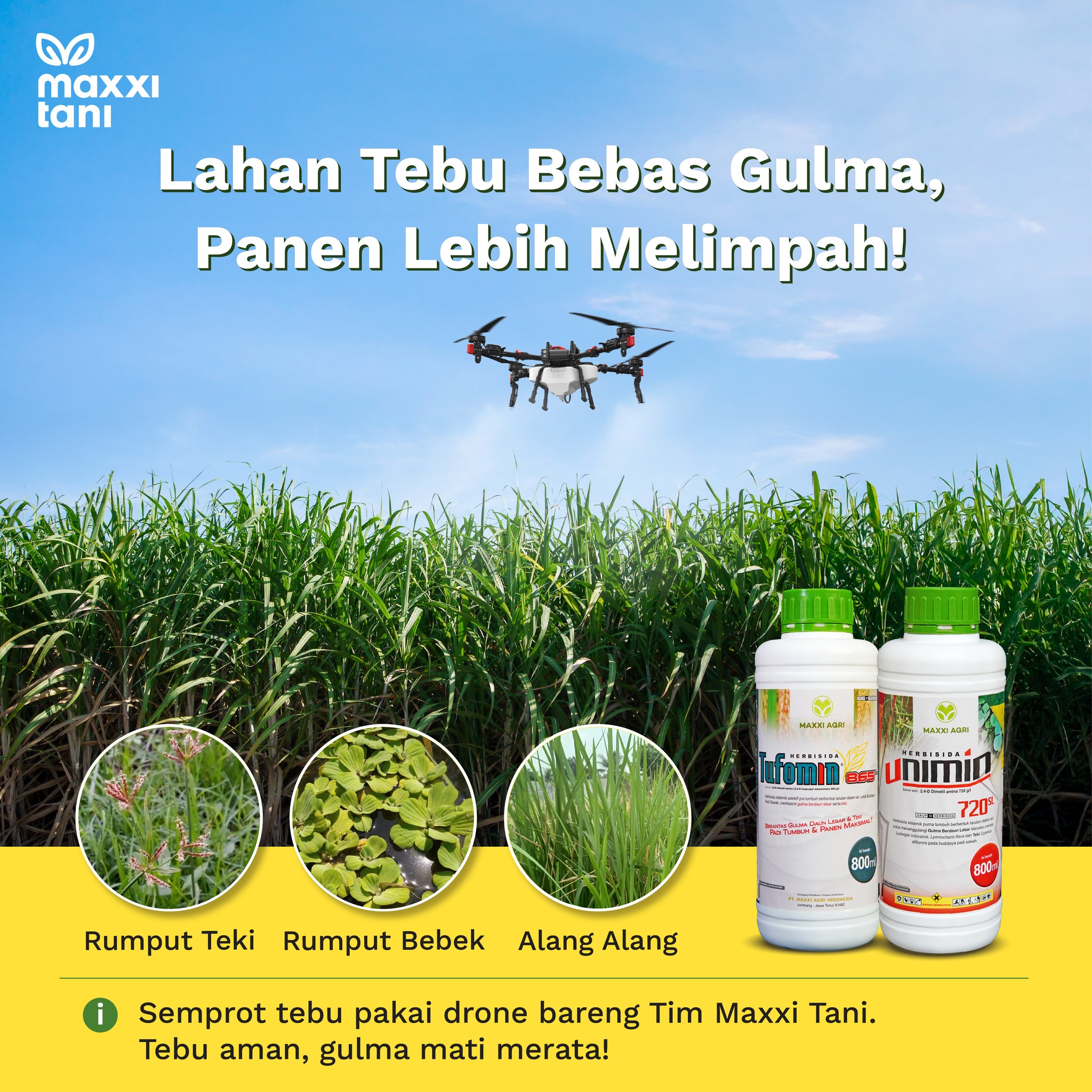 Maxxi - Basmi gulma tebu bareng Maxxi Tani lebih AMAN, lho! 🤩 Berkat ...