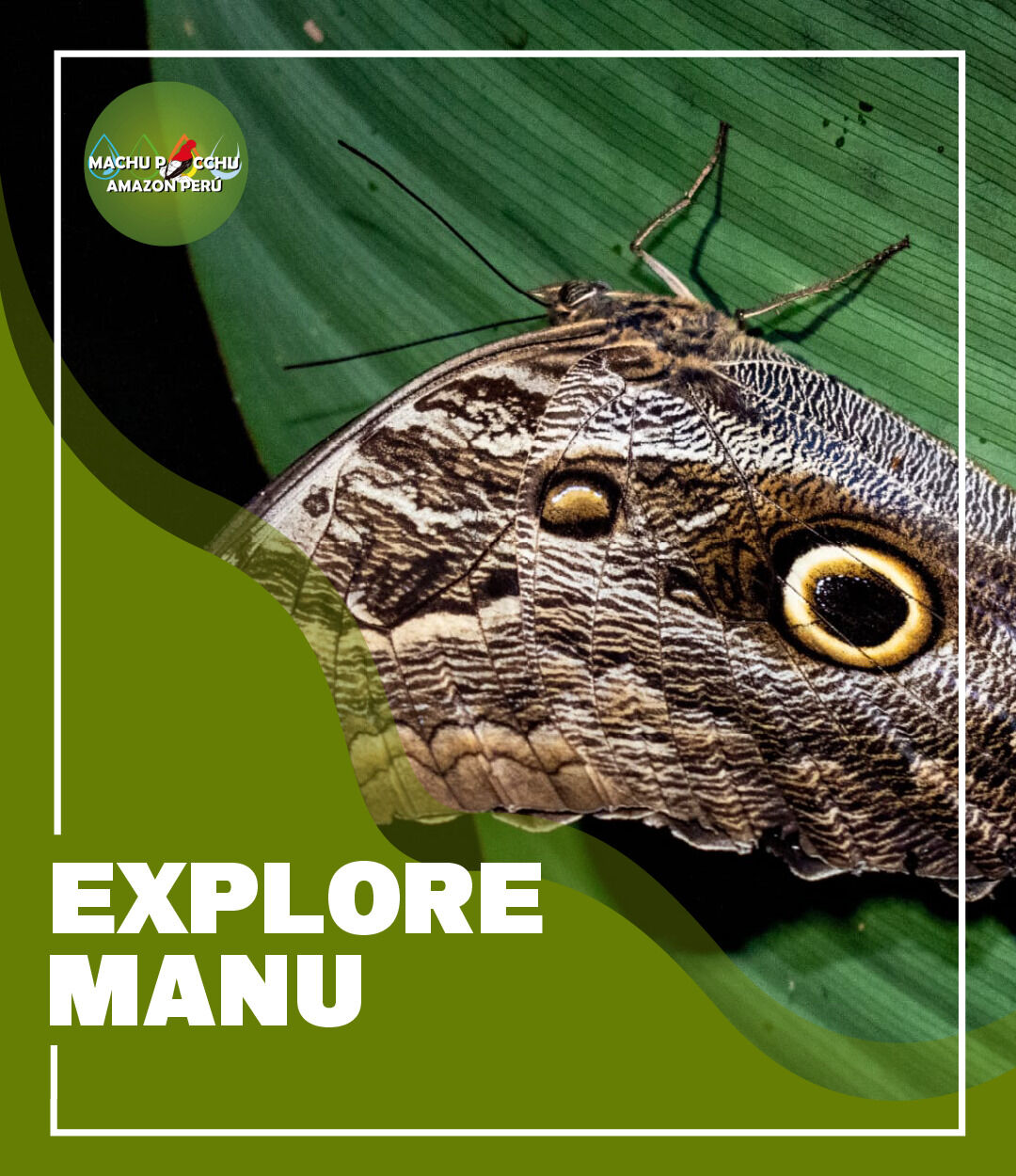 Machu - 🌿 Embrace the call of the wild with Machu Picchu Amazon Peru on ...