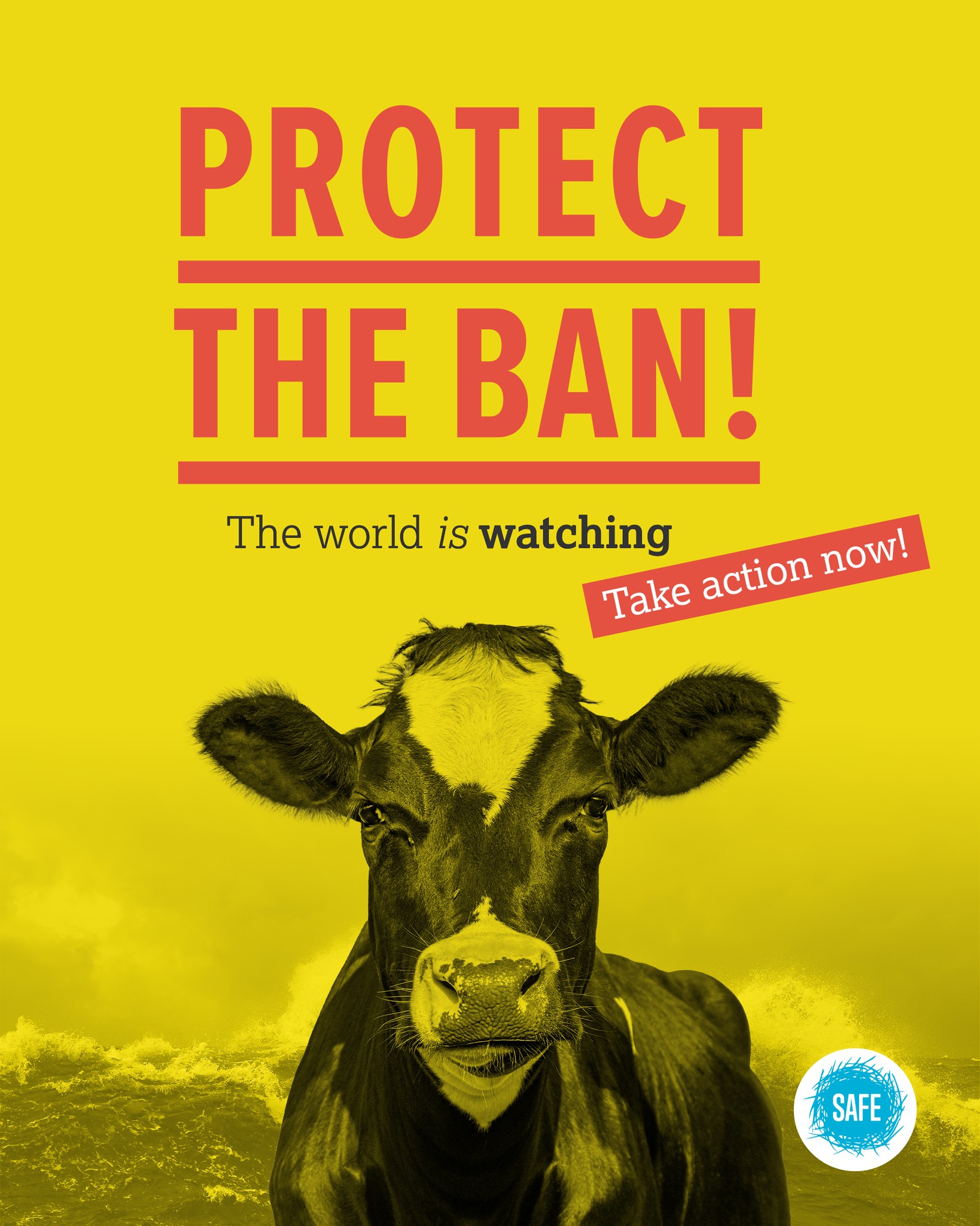 SAFE - Today, SAFE is launching a nationwide campaign to...