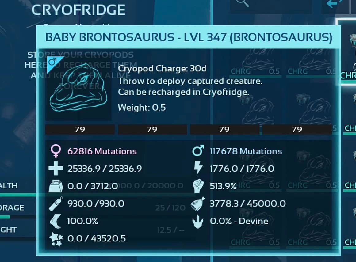 Selling tron Doedis I have 2 breeding pair of embryos 10k poly