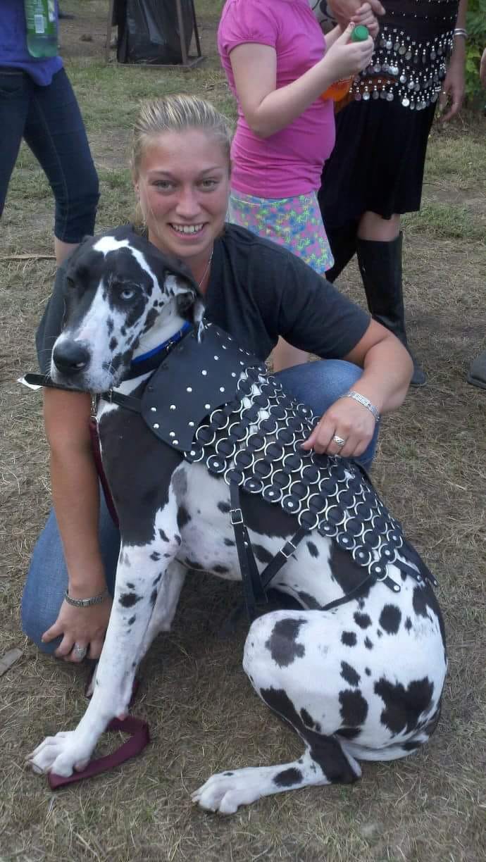 In The Ruff Great Danes