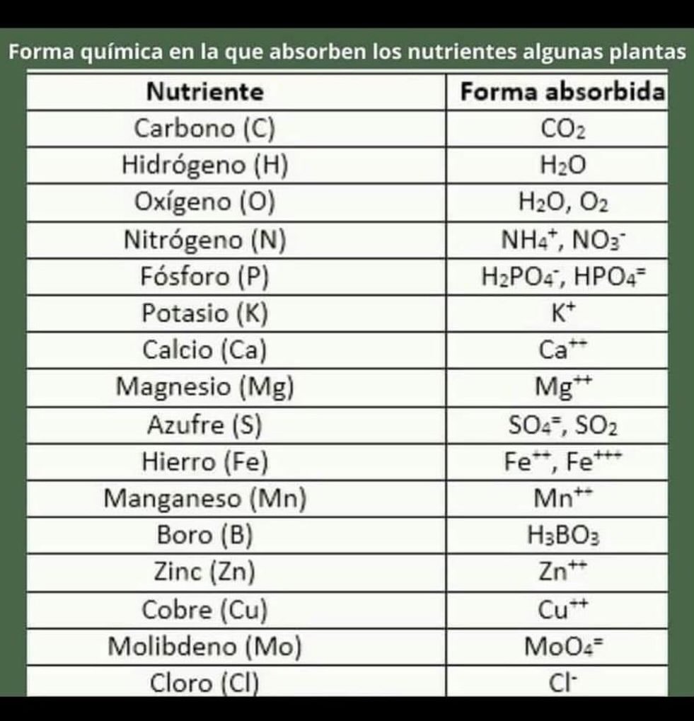 InfoAgronomo - Forma química en la que las plantas absorben nutrientes ...