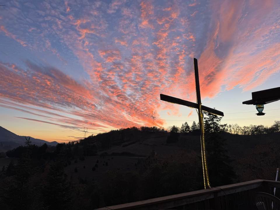 Roberts Christmas Tree Farm | Roseburg OR