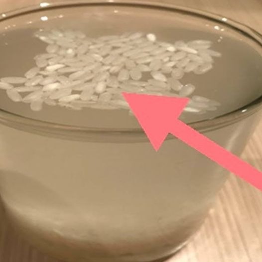 Tasty - Beware, China Is Making Rice From Plastic – Here’s How To Spot ...