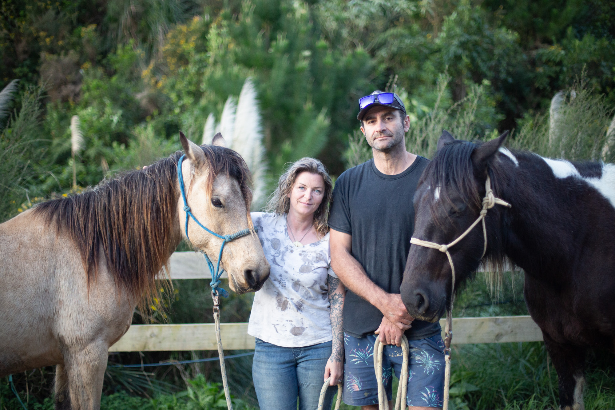 Heathcote Valley Riding... - Heathcote Valley Riding School