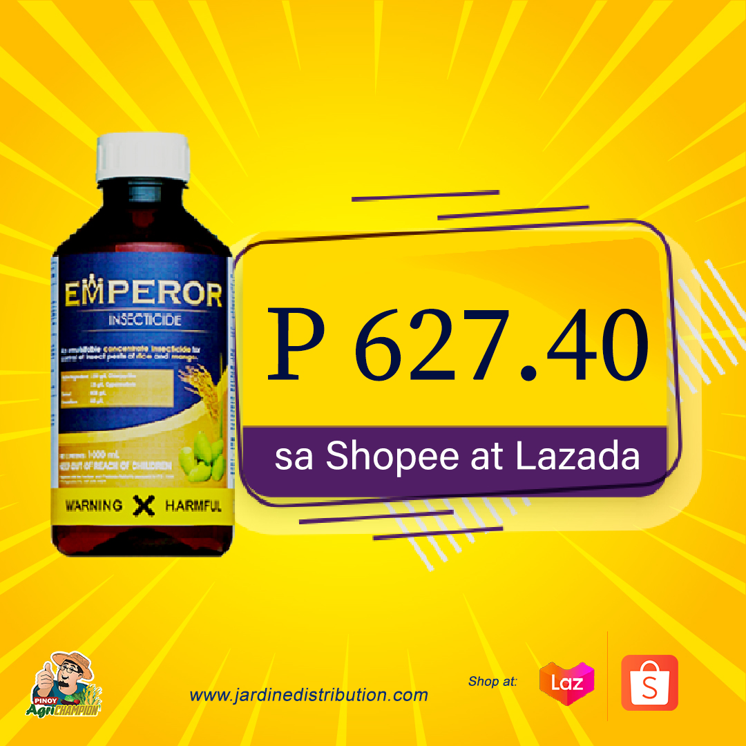 Available na rin ang Emperor sa... - Pinoy Agrichampion