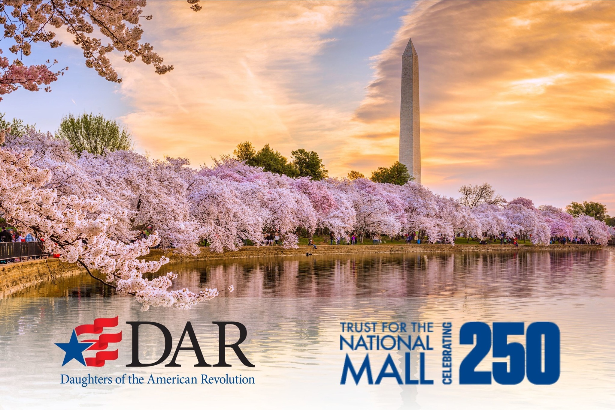 Hudson - The Cherry Tree Endowment! As the countdown to America's 250th ...