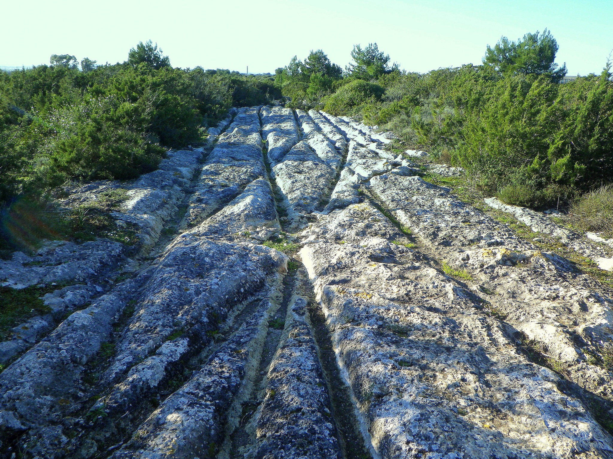 🤠 Cart Ruts, also known as Track Ruts,... - Letsgotosardinia | Facebook