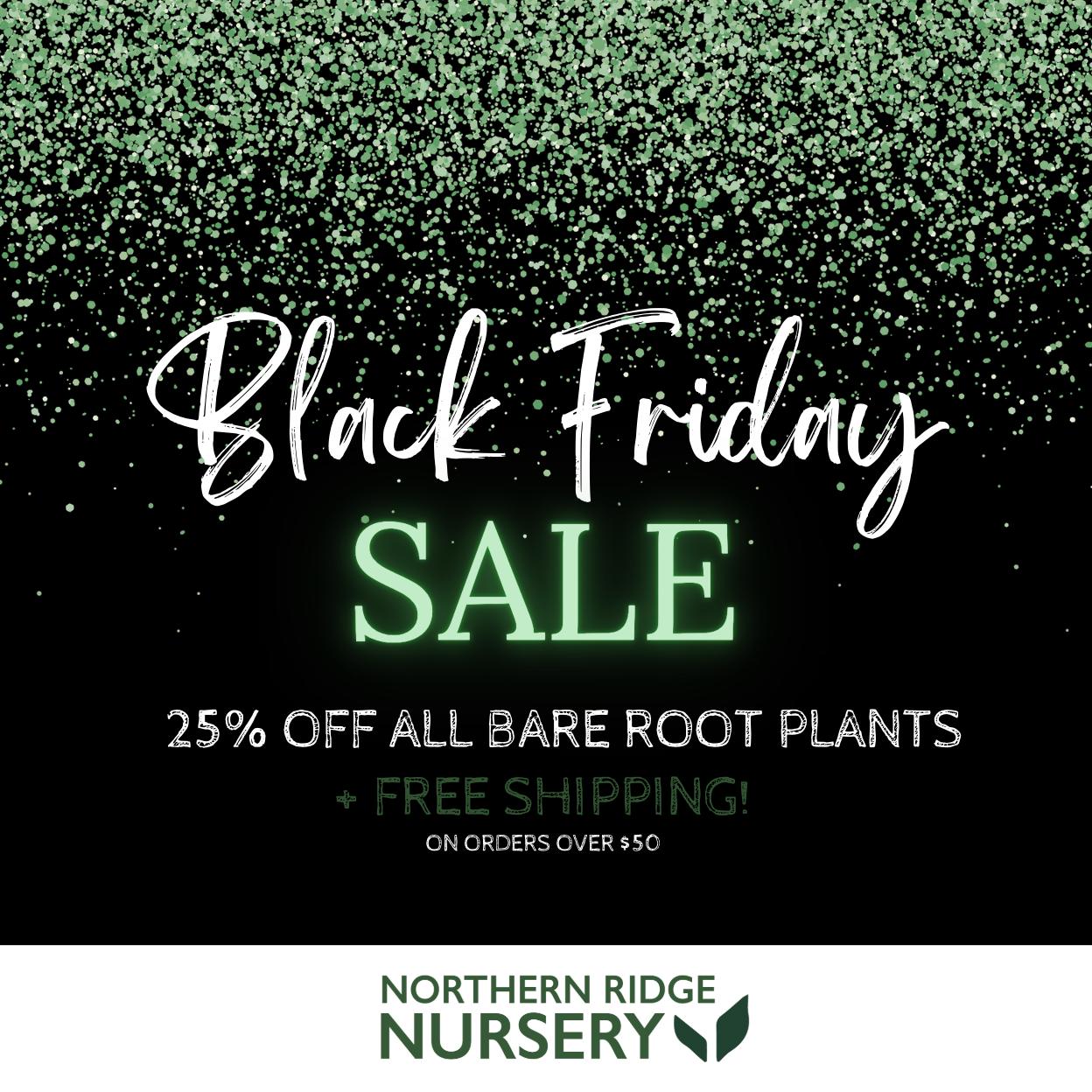 Northern Ridge Nursery | Pembine WI
